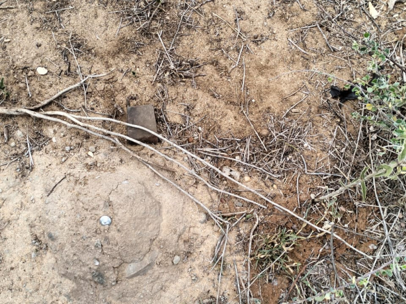 10 Acres for sale in Kakoneni