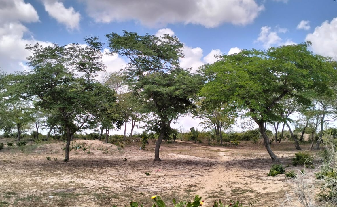 10 Acres for sale in Kakoneni