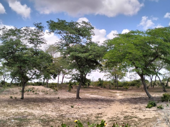 10 Acres for sale in Kakoneni