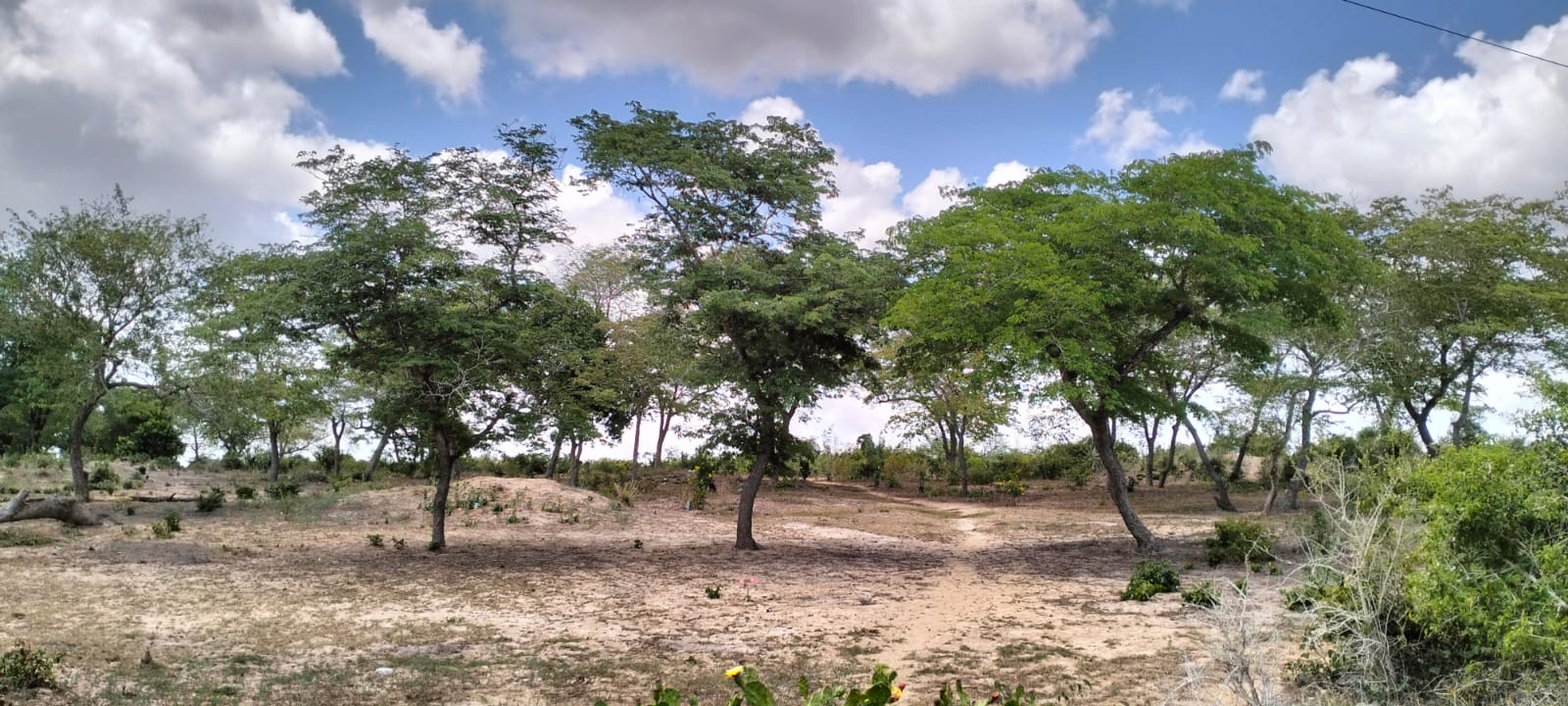 10 Acres for sale in Kakoneni