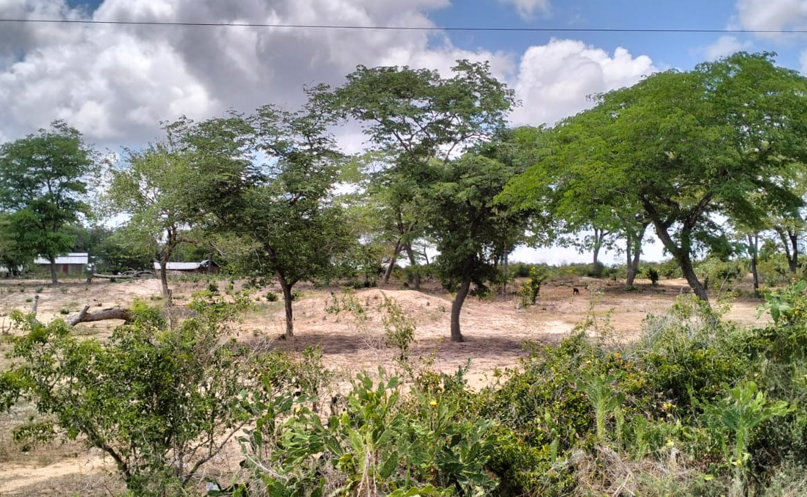 10 Acres for sale in Kakoneni