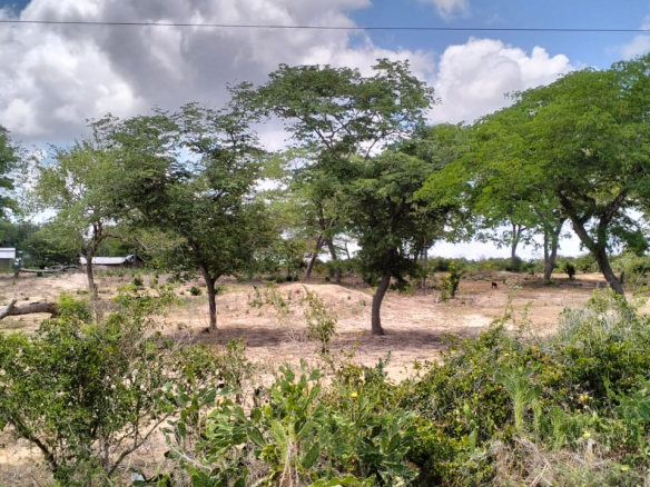 10 Acres for sale in Kakoneni