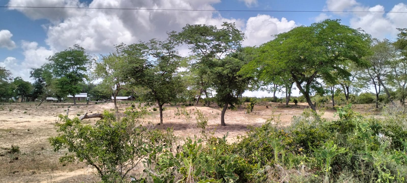 10 Acres for sale in Kakoneni