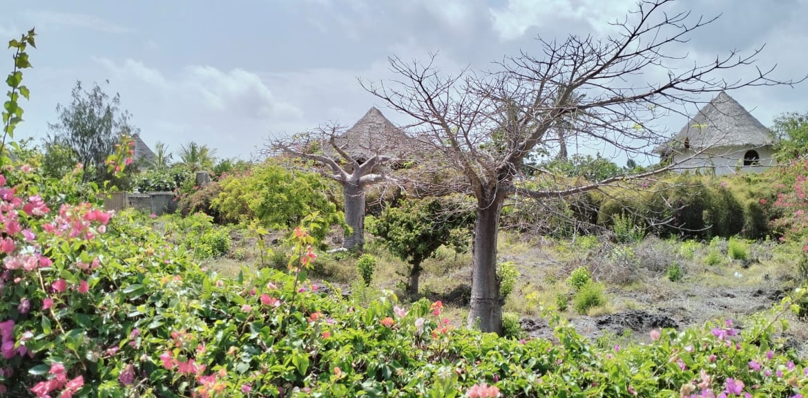 3br with ocean views for sale in Mayungu, Malindi