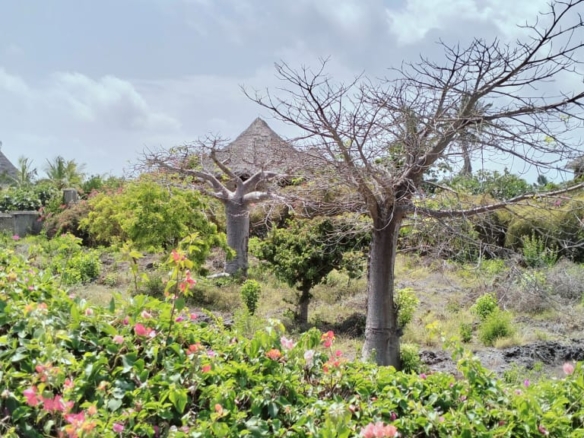 3br with ocean views for sale in Mayungu, Malindi