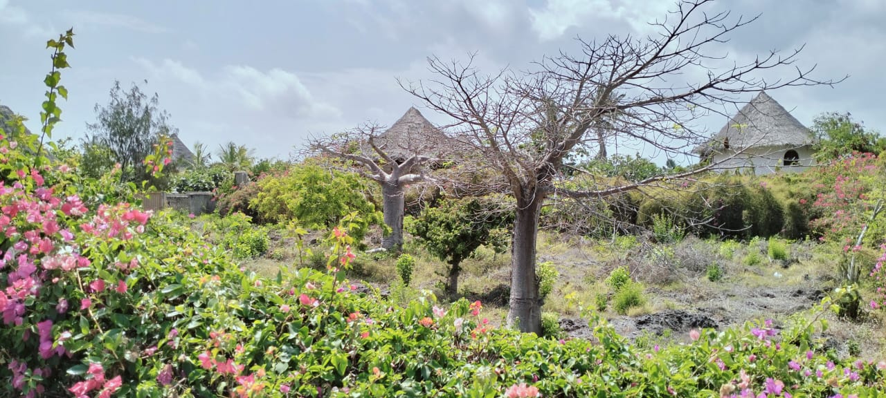 3br with ocean views for sale in Mayungu, Malindi