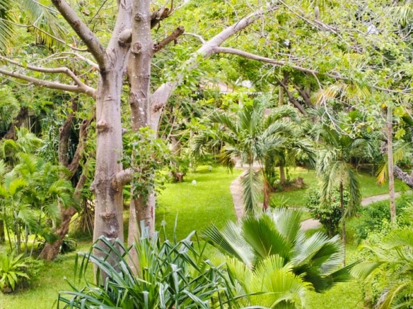 Luxurious 2-Bedroom Beachfront Penthouse for Sale – Casuarina Road, Malindi