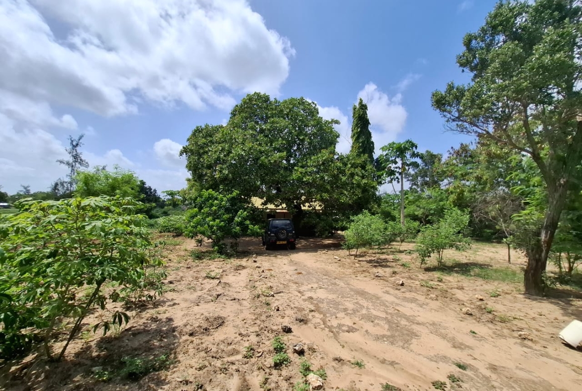 3.5 acres farm for sale with farmhouse in Malindi