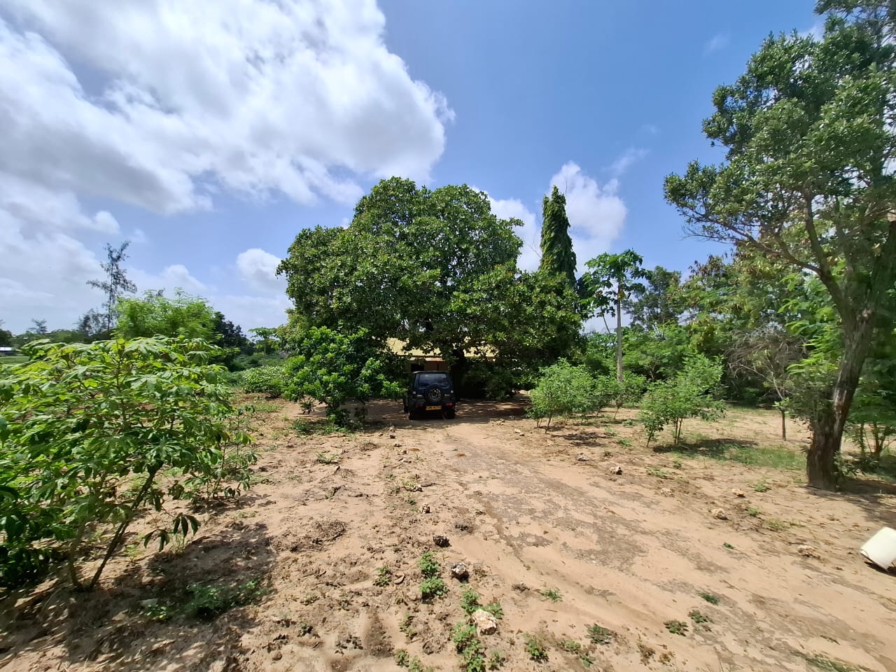 3.5 acres farm for sale with farmhouse in Malindi