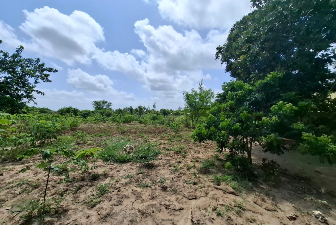 3.5 acres farm for sale with farmhouse in Malindi