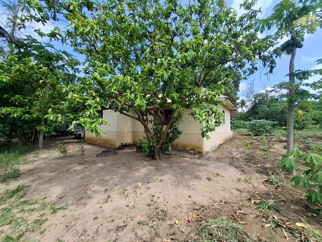 3.5 acres farm for sale with farmhouse in Malindi