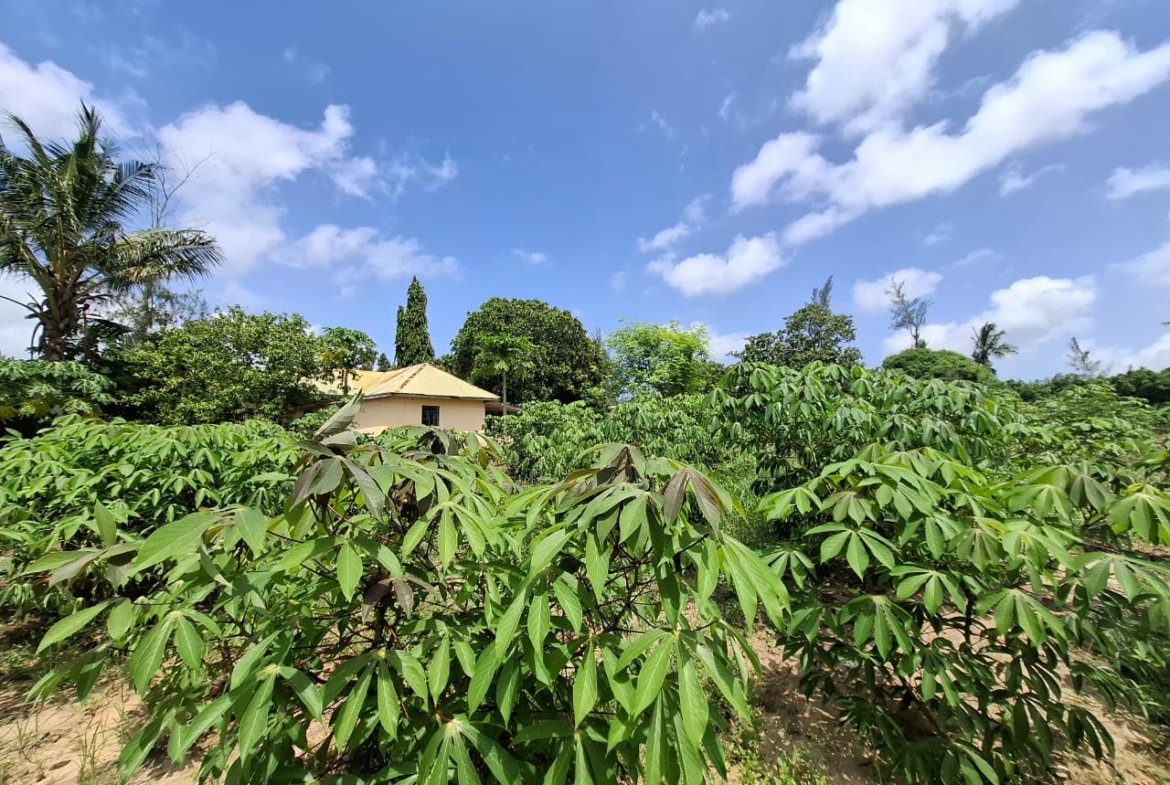 3.5 acres farm for sale with farmhouse in Malindi