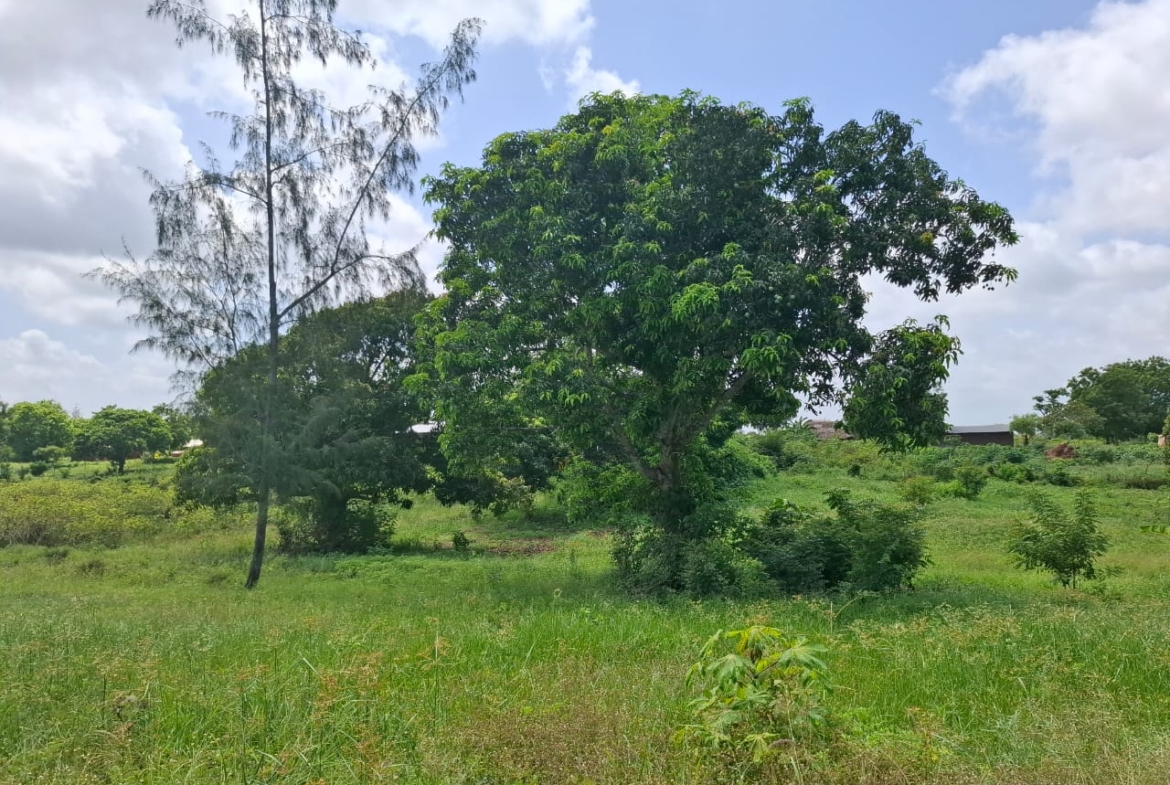 3.5 acres farm for sale with farmhouse in Malindi