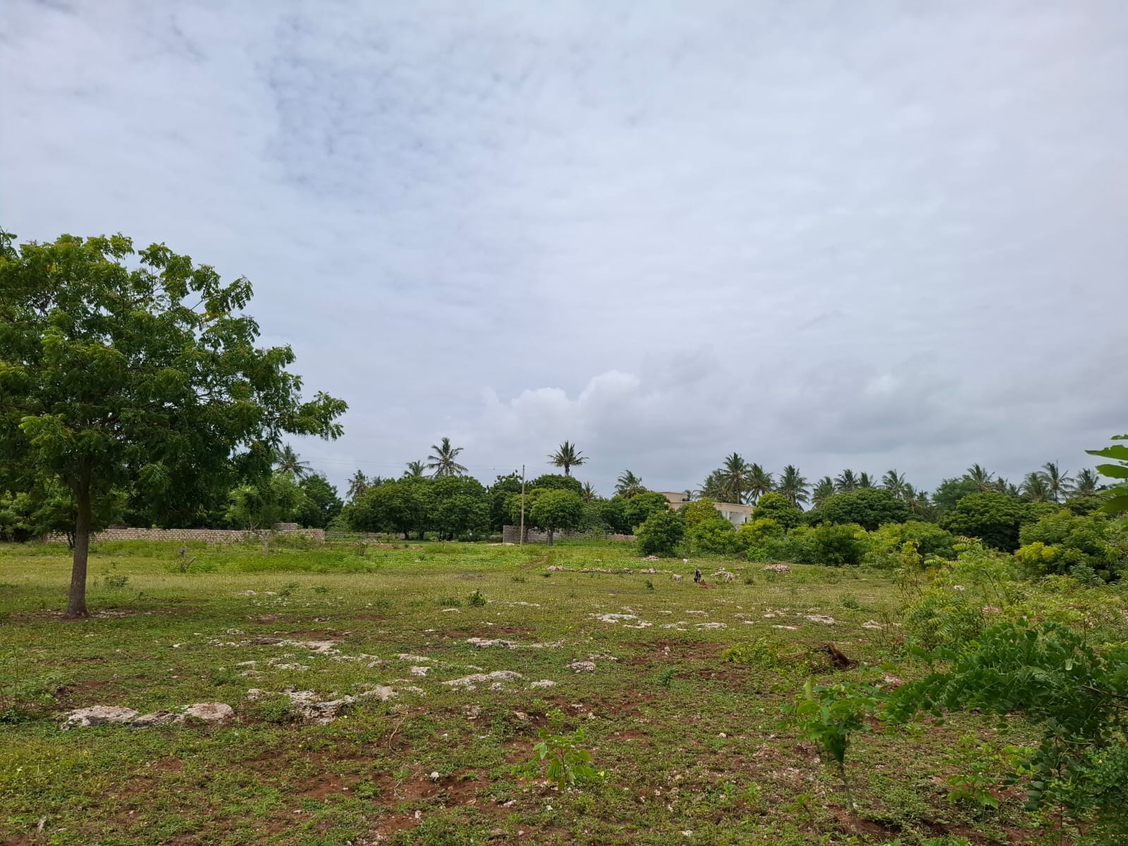 Watamu 2 acres for sale