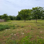 Watamu 2 acres for sale