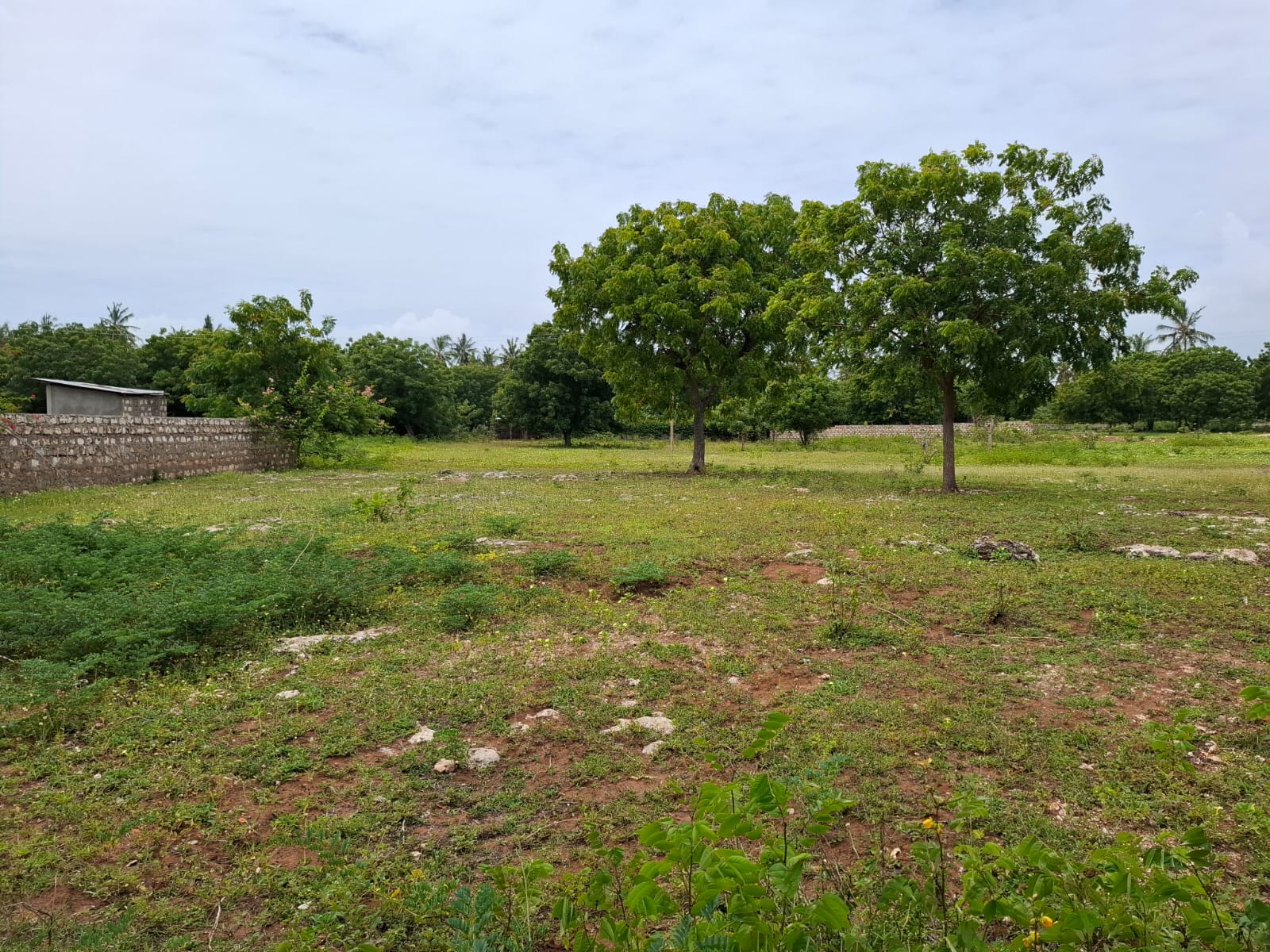 Watamu 2 acres for sale