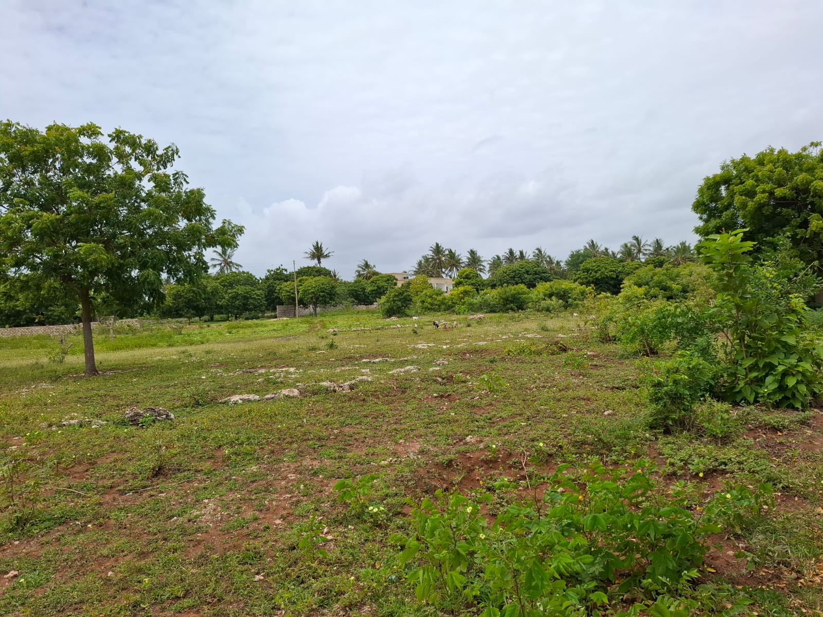 Watamu 2 acres for sale