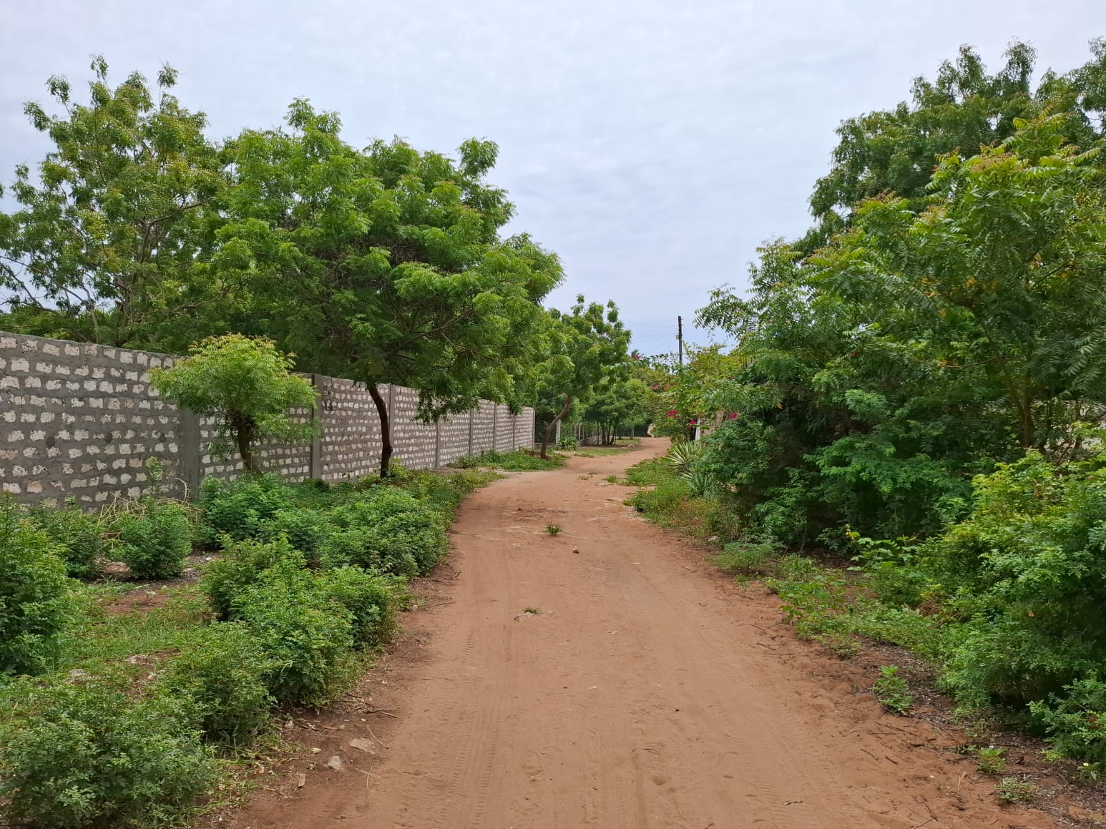 Watamu 2 acres for sale