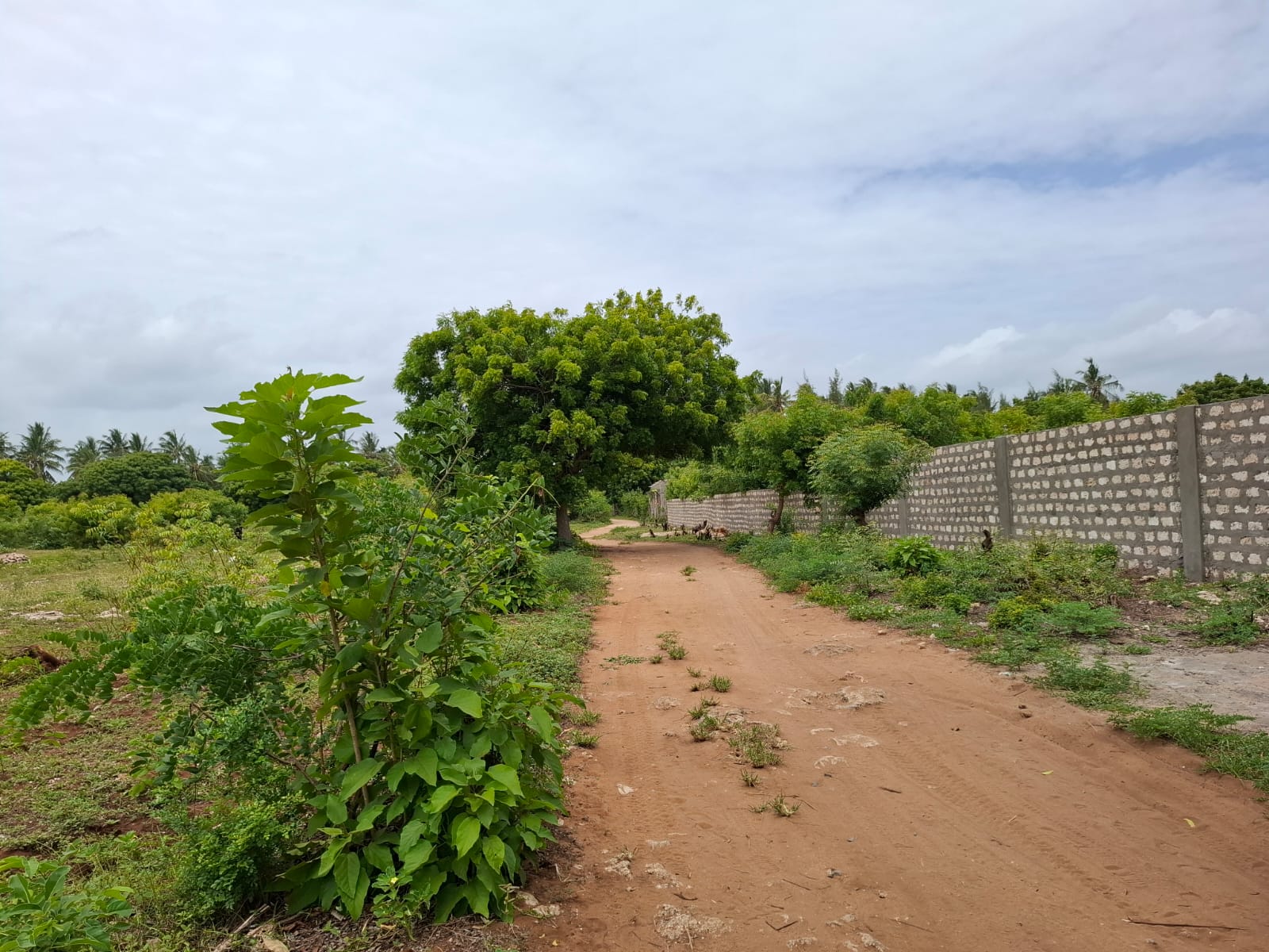 Watamu 2 acres for sale