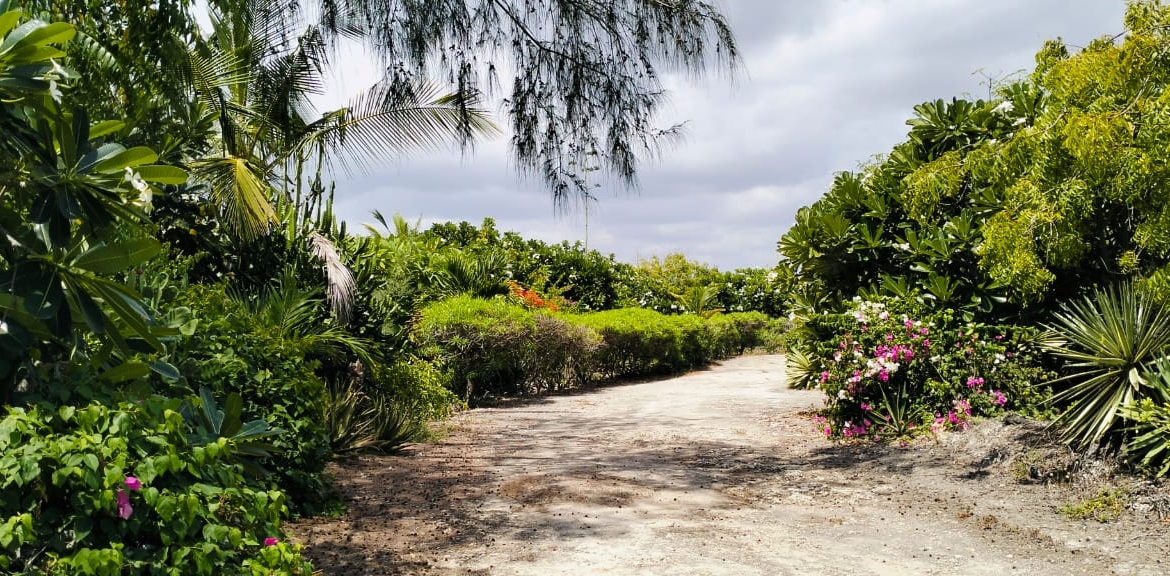 4br all ensuite villa for sale in Watamu