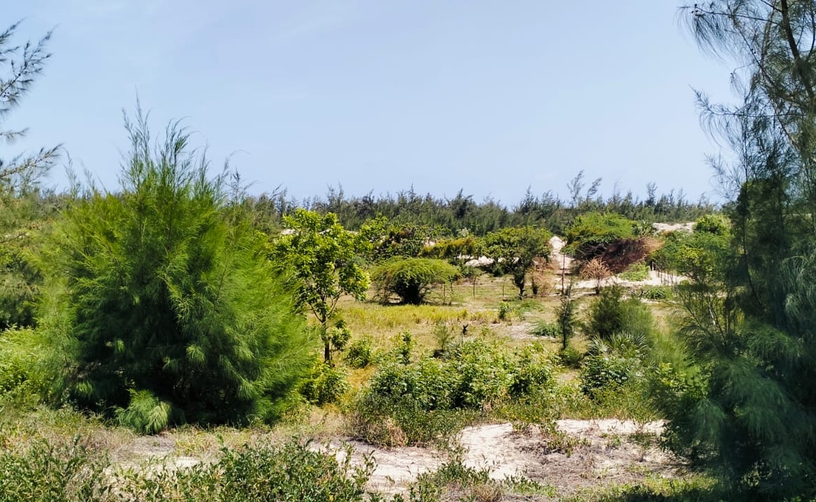 0.75 Acre for sale in Malindi 600m from the beach