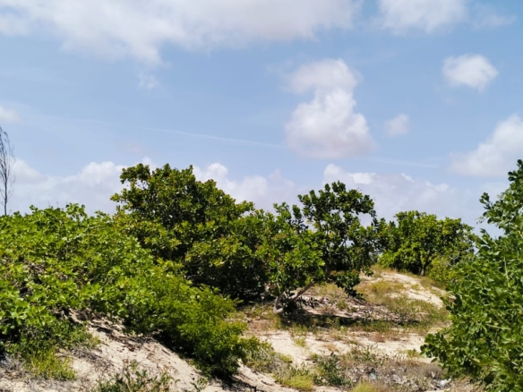 0.75 Acre for sale in Malindi 600m from the beach