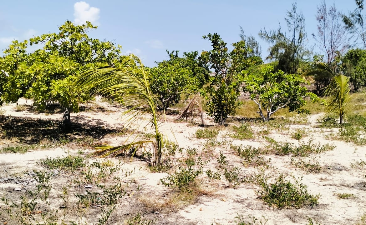 0.75 Acre for sale in Malindi 600m from the beach