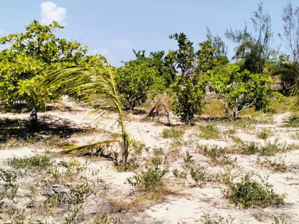 0.75 Acre for sale in Malindi 600m from the beach