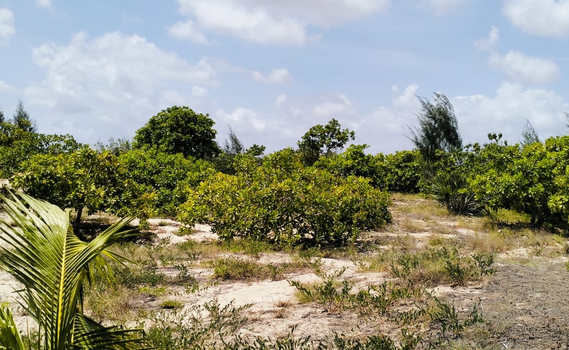 0.75 Acre for sale in Malindi 600m from the beach