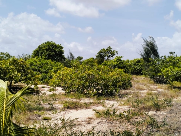 0.75 Acre for sale in Malindi 600m from the beach