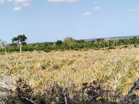 85 Acre ranch for sale in Malindi, Kasikini