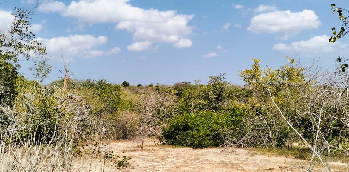 25 Acres for sale in Mulunguni