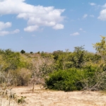 25 Acres for sale in Mulunguni
