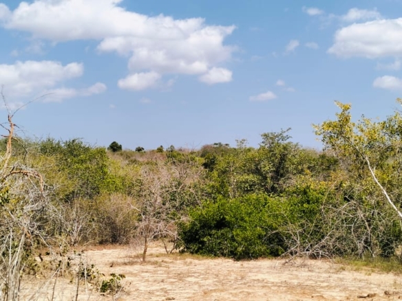 25 Acres for sale in Mulunguni