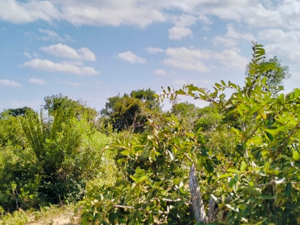 85 Acre ranch for sale in Malindi, Kasikini