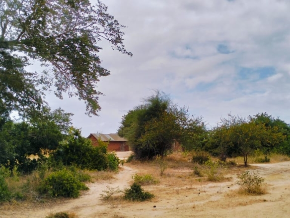 6-acre property for sale in Jilore with piped water and power