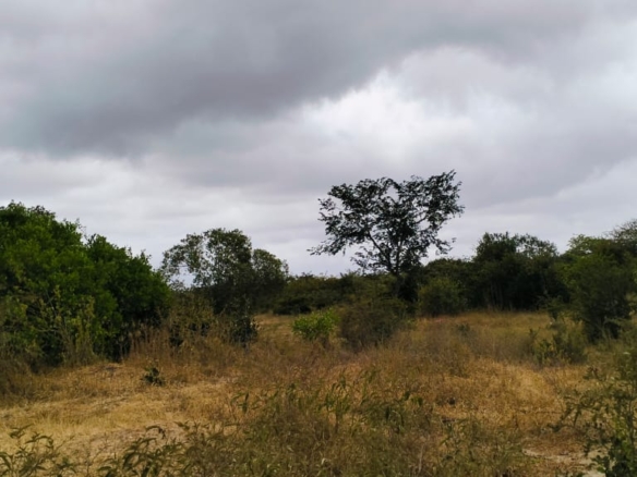 6-acre property for sale in Jilore with piped water and power