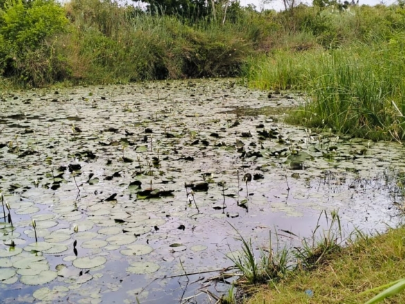 Jilore 8 Acres for sale by the river