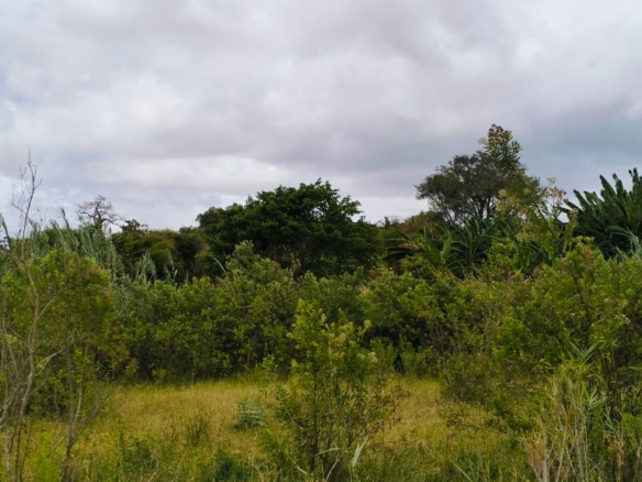 Jilore 8 Acres for sale by the river