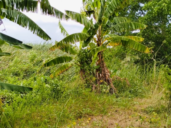 Jilore 8 Acres for sale by the river