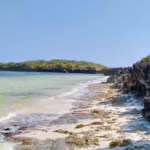 1.5 Acres beachfront for sale in Watamu
