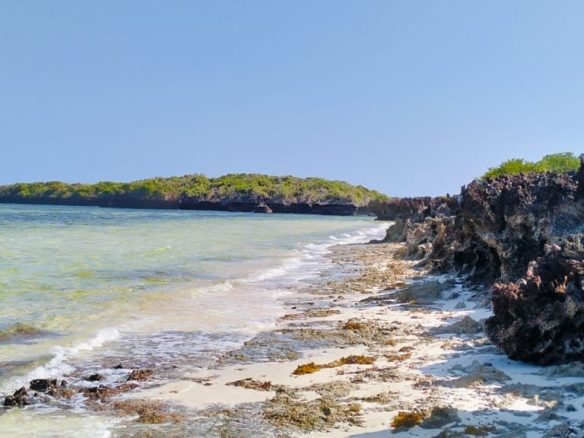 1.5 Acres beachfront for sale in Watamu