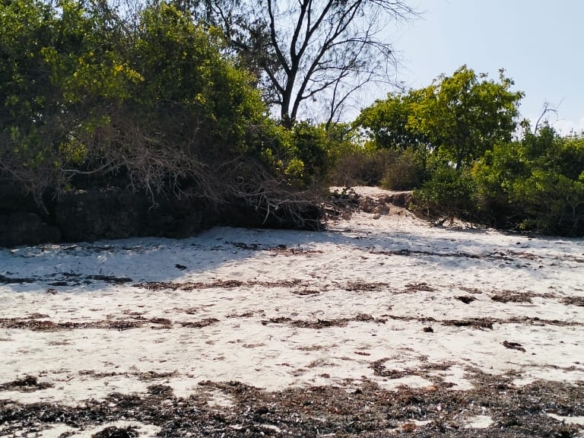 1.5 Acres beachfront for sale in Watamu