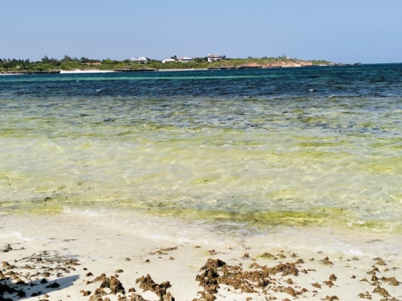 1.5 Acres beachfront for sale in Watamu