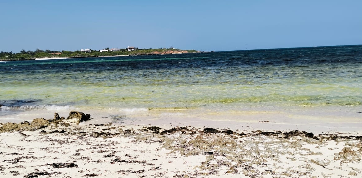 1.5 Acres beachfront for sale in Watamu