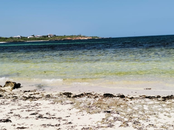 1.5 Acres beachfront for sale in Watamu