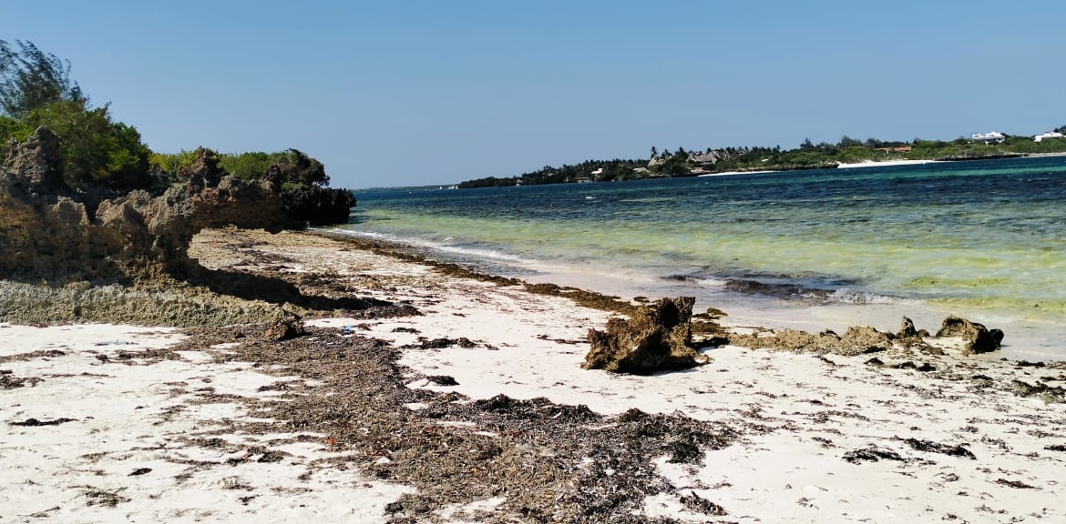 1.5 Acres beachfront for sale in Watamu