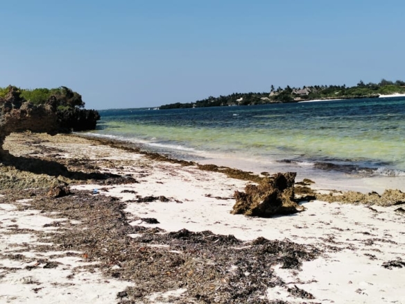 1.5 Acres beachfront for sale in Watamu