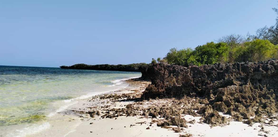 1.5 Acres beachfront for sale in Watamu