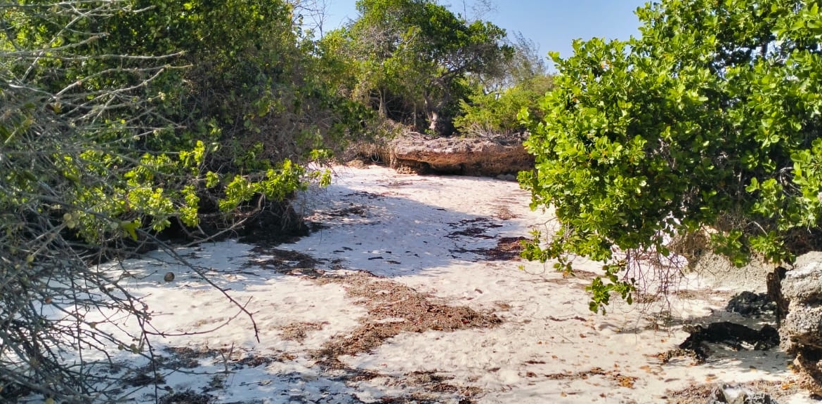 1.5 Acres beachfront for sale in Watamu